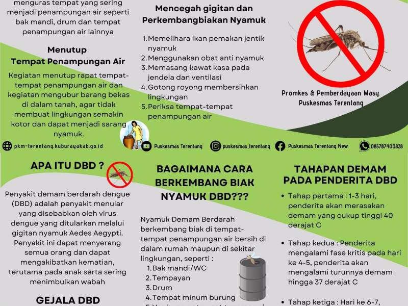 Demam Berdarah Dengue